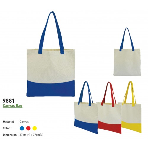9881 CANVAS BAG