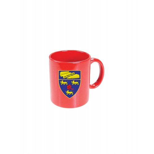 15 COLOURED MUG