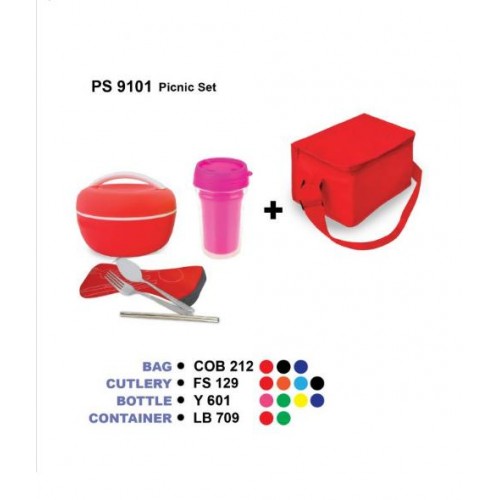 9101 PICNIC SET