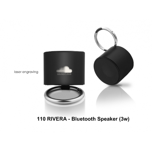 110 BLUETOOTH SPEAKER