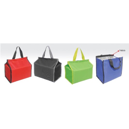 COOLER & WARMER BAG 213