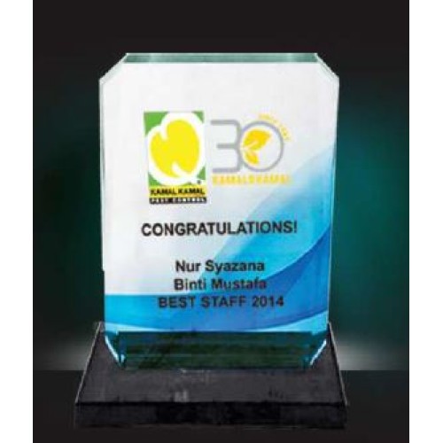 CRYSTAL PLAQUE 18