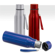 STAINLESS STEEL SPORT BOTTLE 697