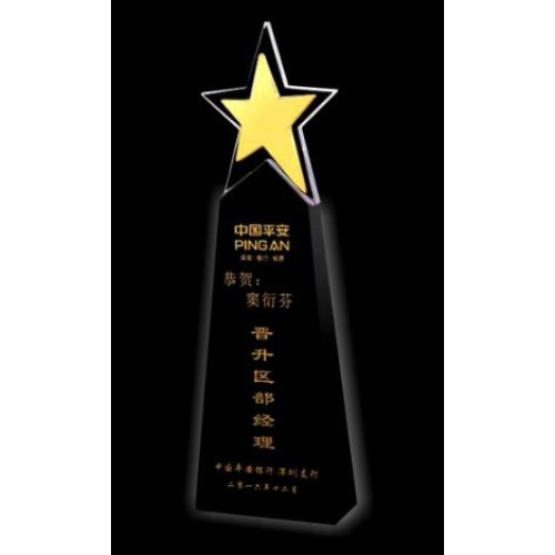 CRYSTAL TROPHY 825 
