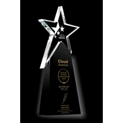 CRYSTAL TROPHY 826 