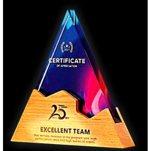 WOODEN AWARD 026