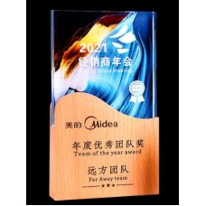WOODEN AWARD 027