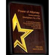 WOODEN AWARD 035