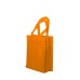 NON WOVEN BAG 11 