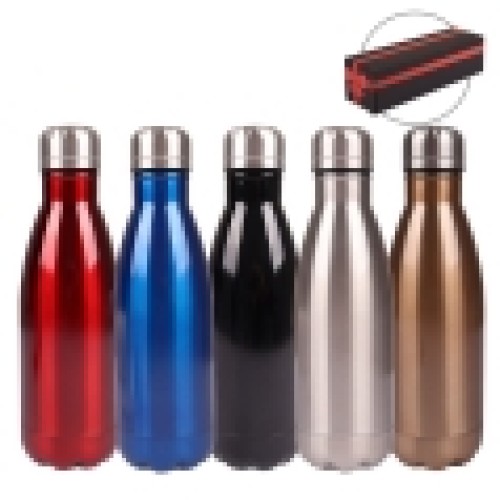 SPORT BOTTLE 4206 